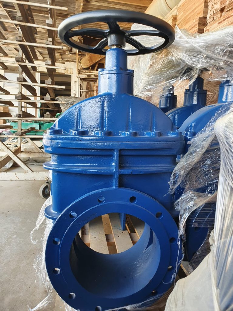 WhatsApp Image 2025-07-11 at 17.54.24