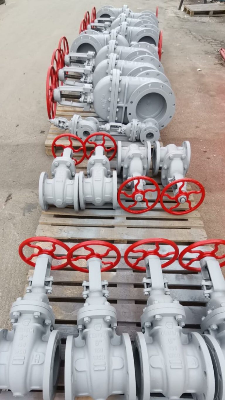 WhatsApp Image 2025-07-11 at 17.54.31