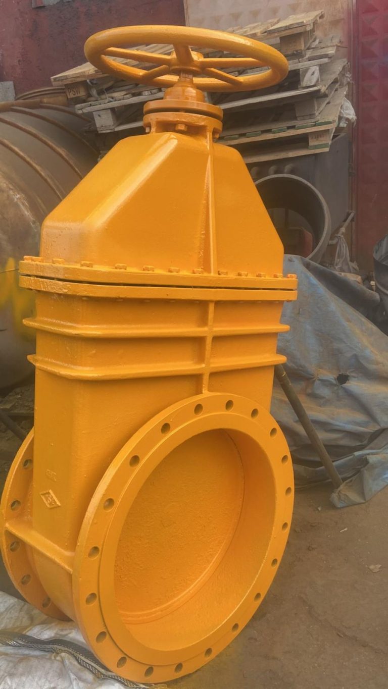 WhatsApp Image 2025-07-11 at 17.54.34